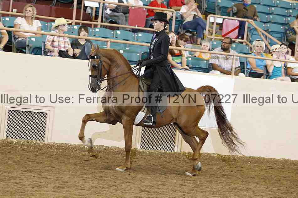 Proof 12yn_07227