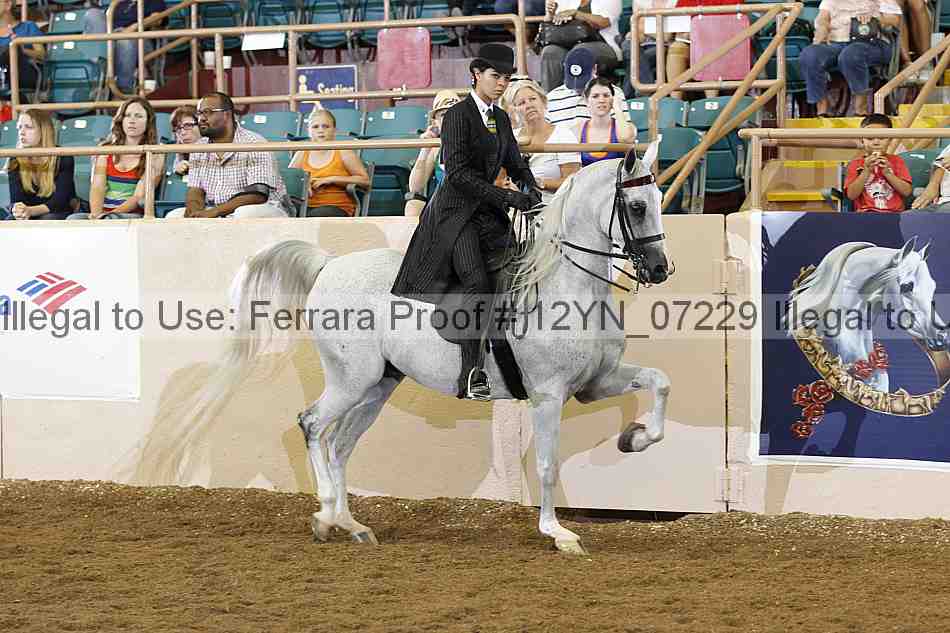 Proof 12yn_07229