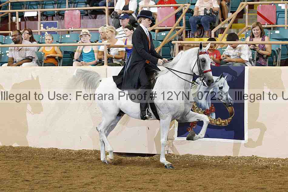 Proof 12yn_07231