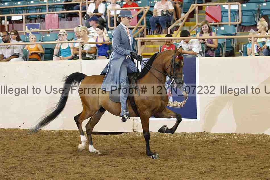 Proof 12yn_07232