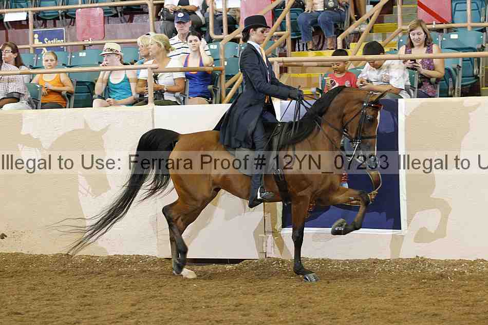 Proof 12yn_07233