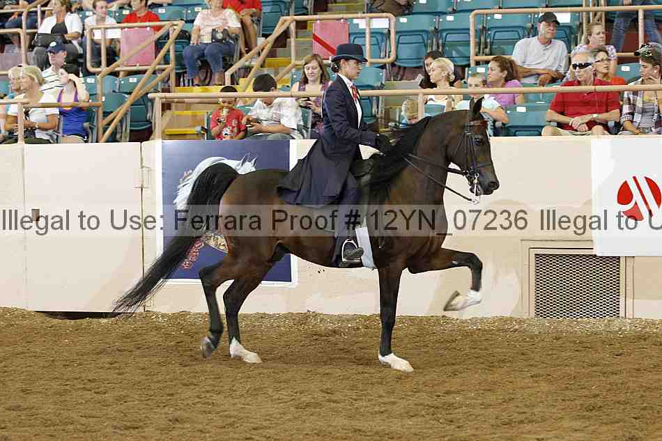 Proof 12yn_07236