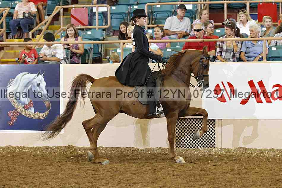 Proof 12yn_07237