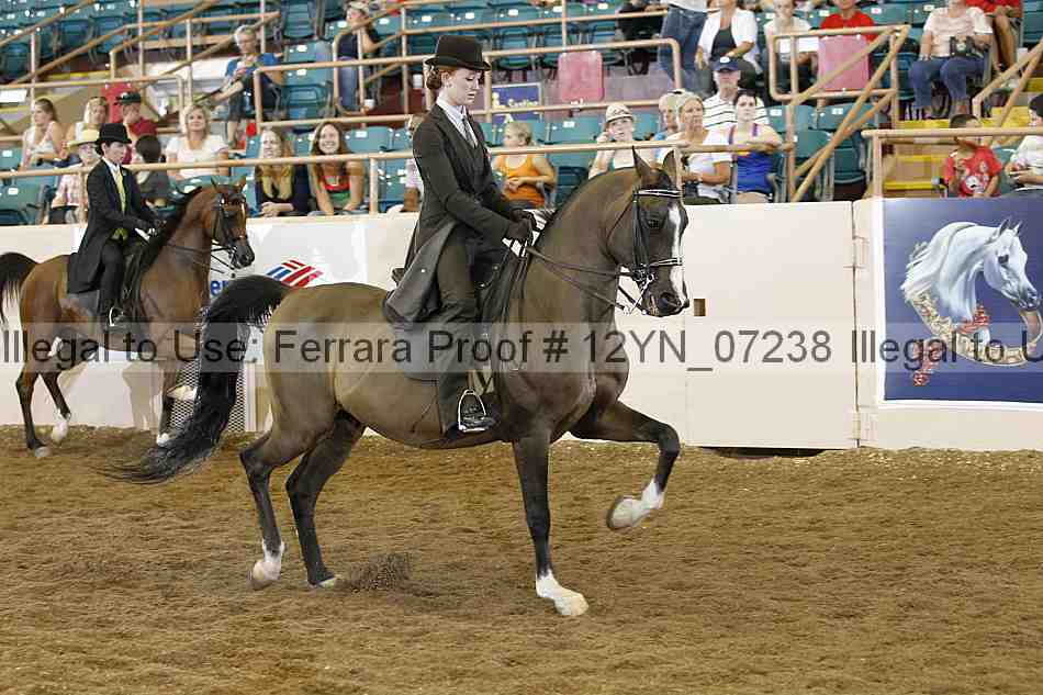 Proof 12yn_07238