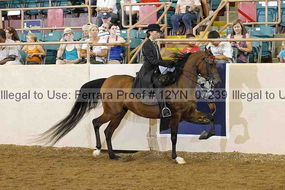 Proof 12yn_07239