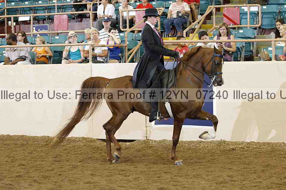 Proof 12yn_07240