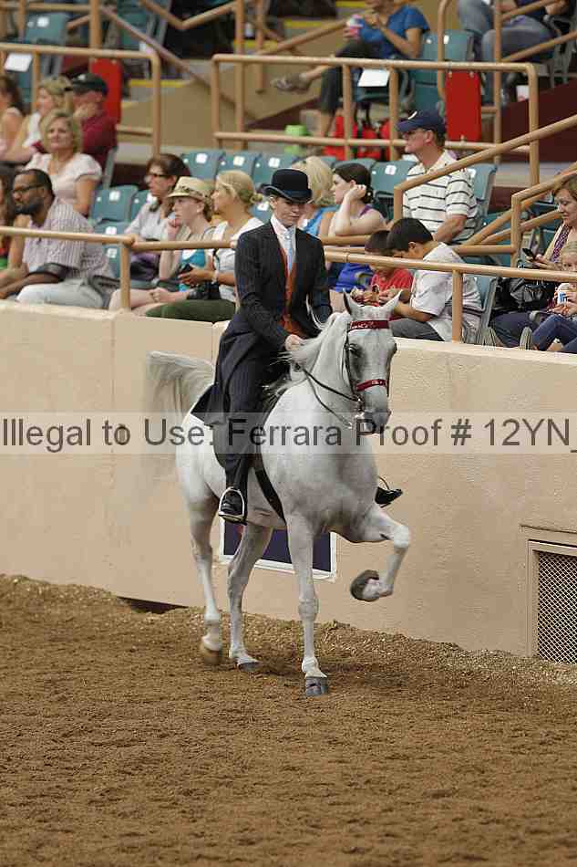 Proof 12yn_07241