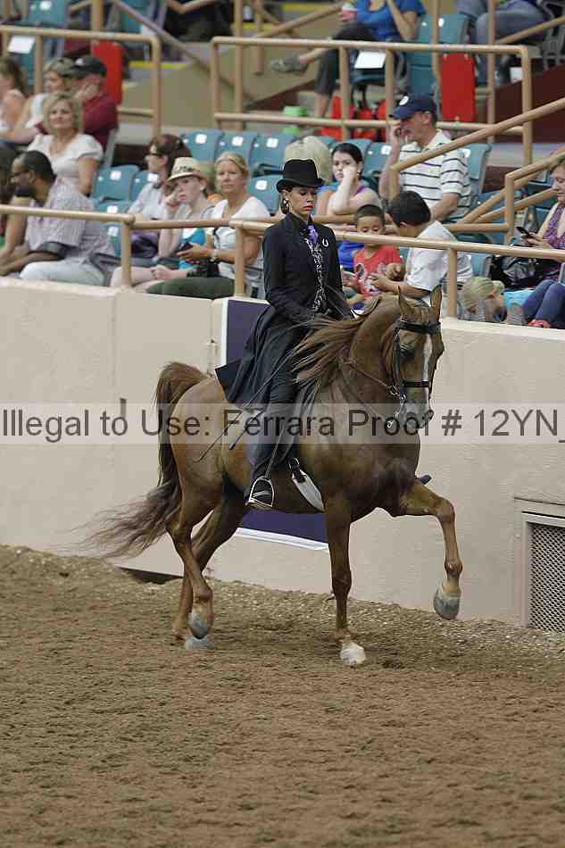 Proof 12yn_07245