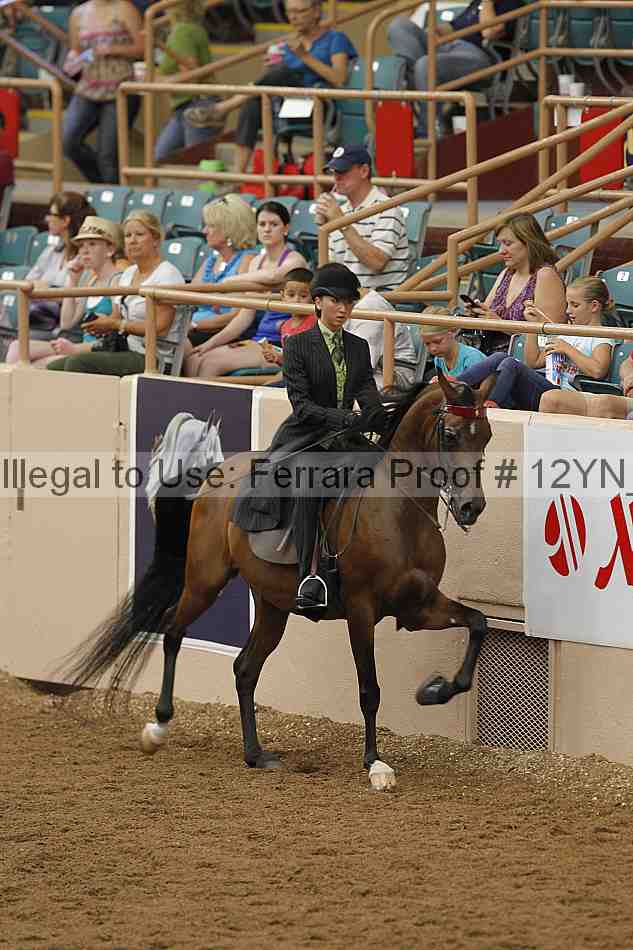 Proof 12yn_07246