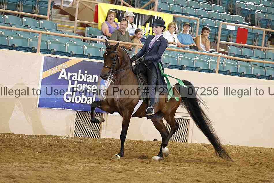 Proof 12yn_07256