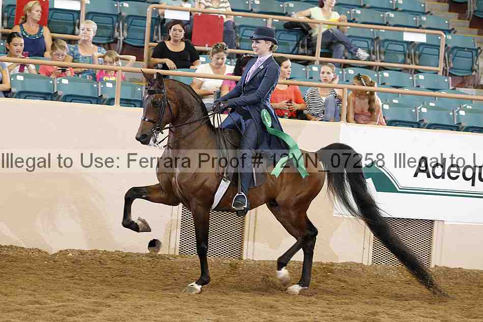 Proof 12yn_07258