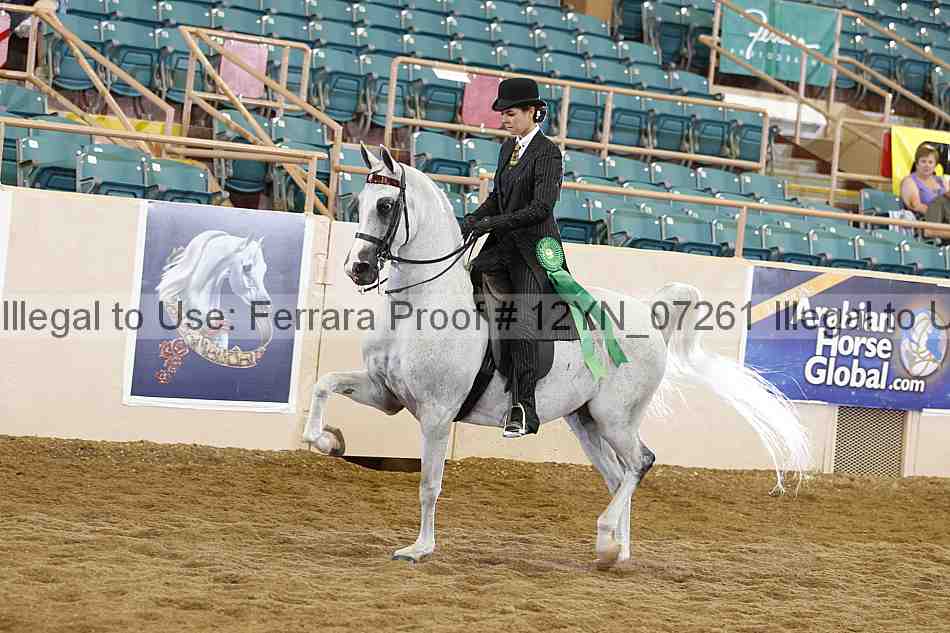 Proof 12yn_07261