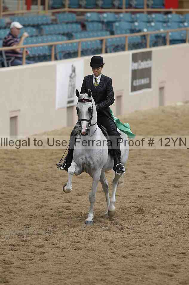 Proof 12yn_07266