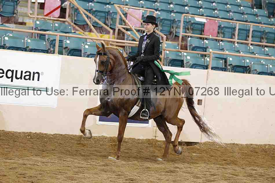 Proof 12yn_07268