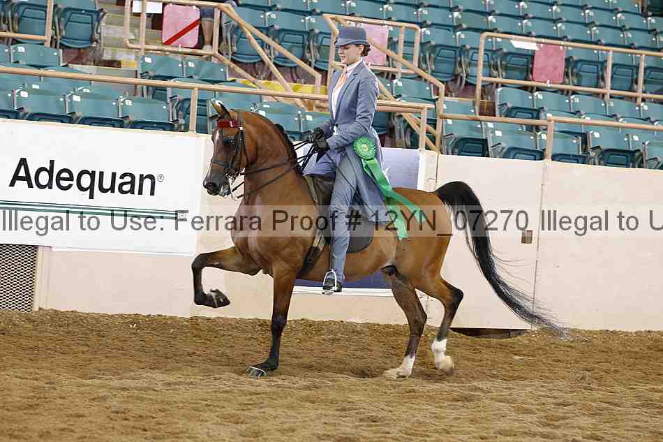 Proof 12yn_07270