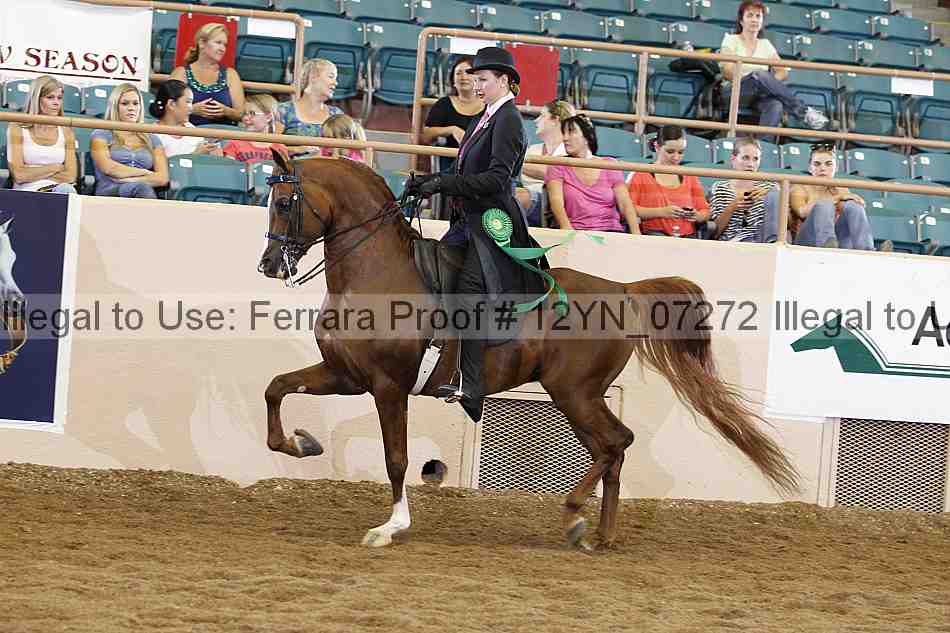 Proof 12yn_07272