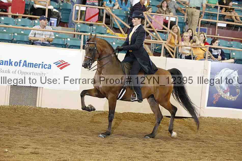 Proof 12yn_12395