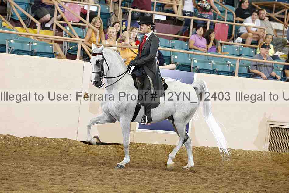 Proof 12yn_12403