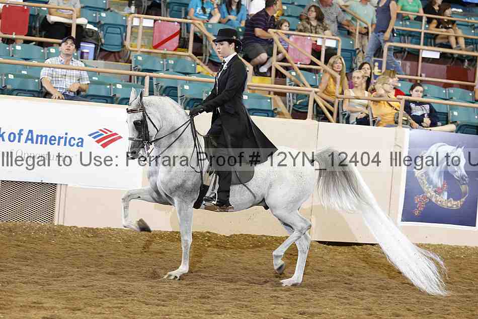 Proof 12yn_12404