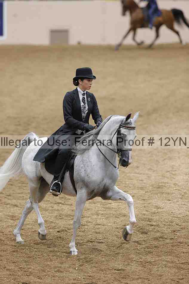Proof 12yn_12408