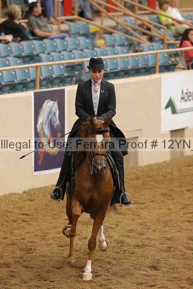 Proof 12yn_12416