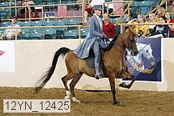 12yn_12425 proof