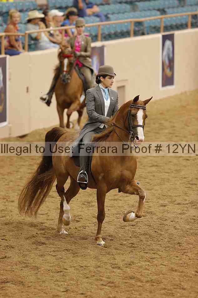 Proof 12yn_12483