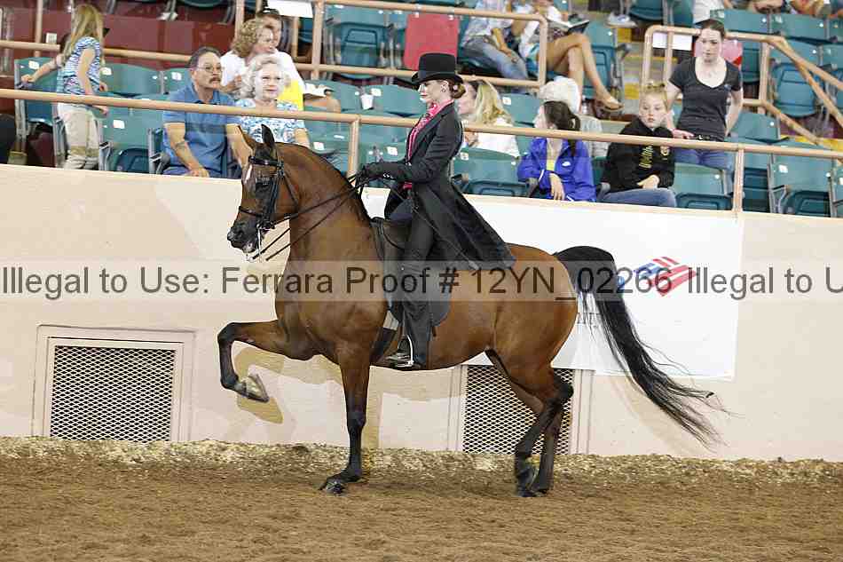 Proof 12yn_02266