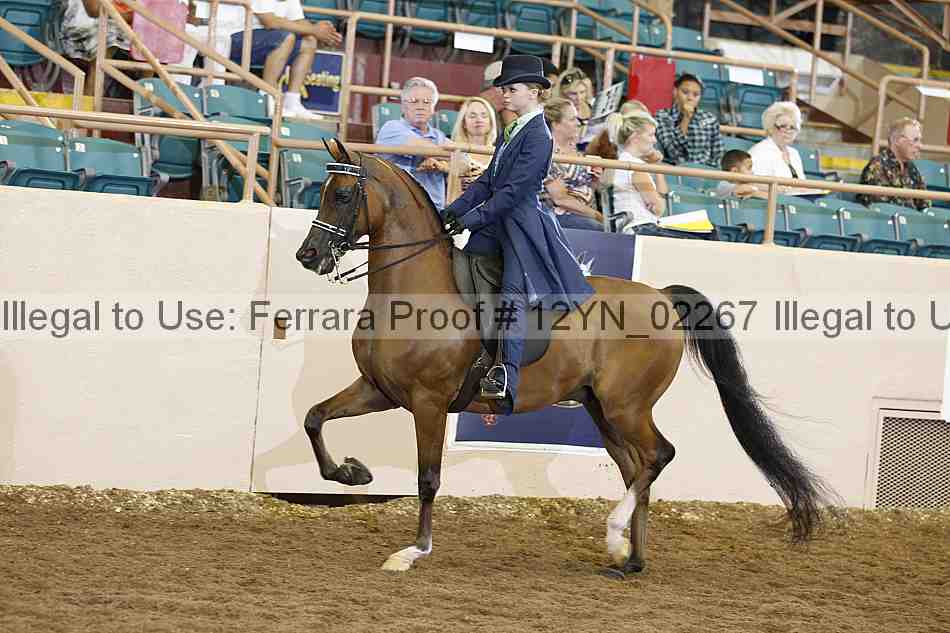 Proof 12yn_02267