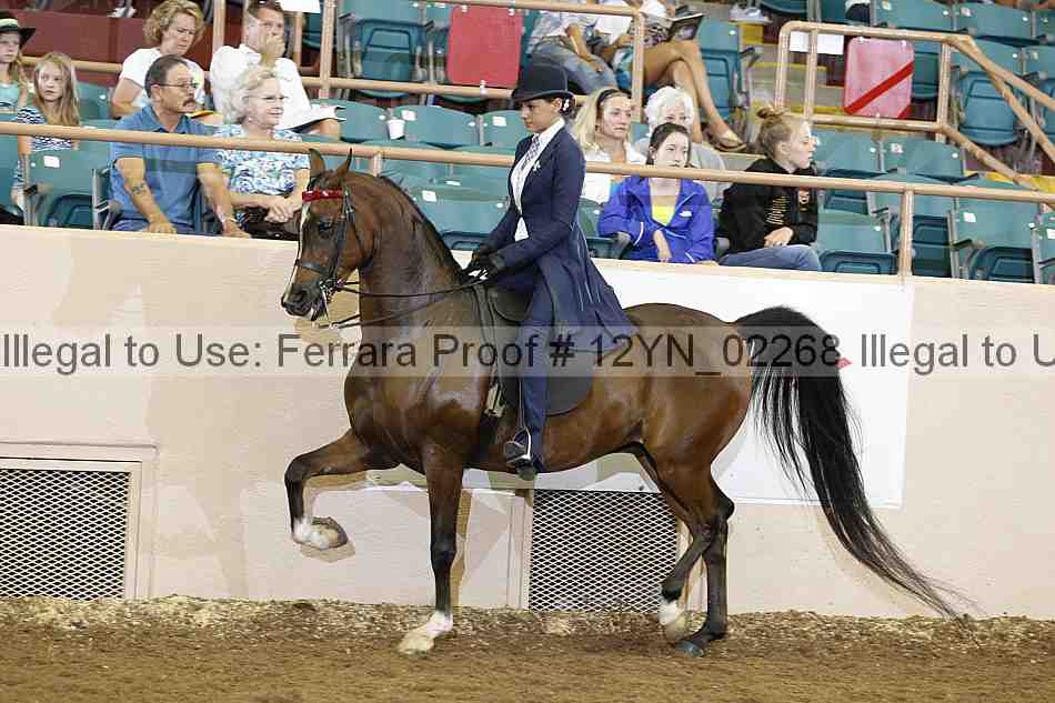 Proof 12yn_02268
