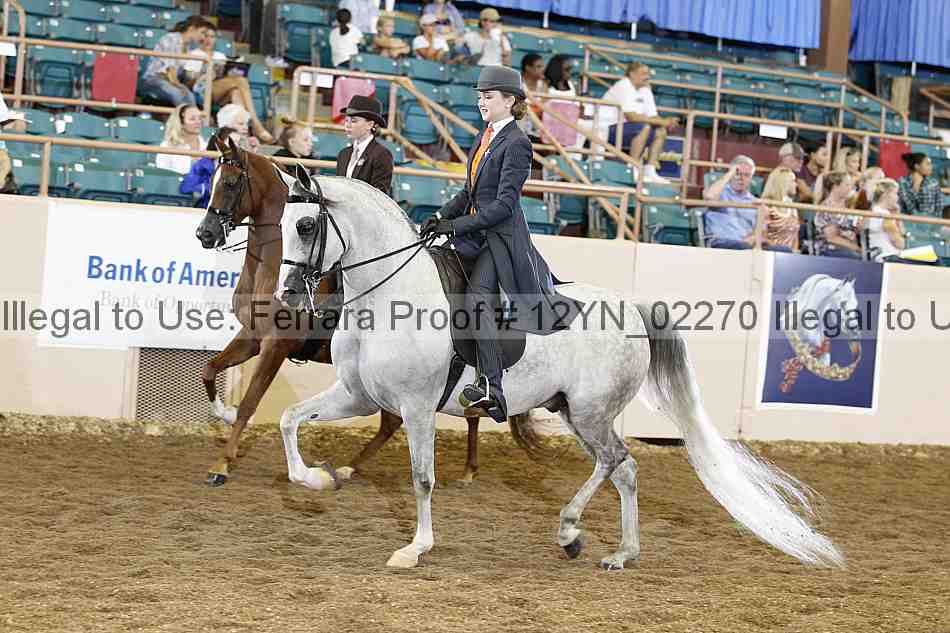 Proof 12yn_02270