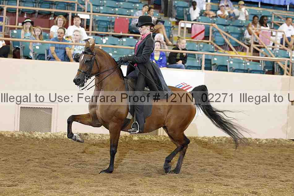 Proof 12yn_02271