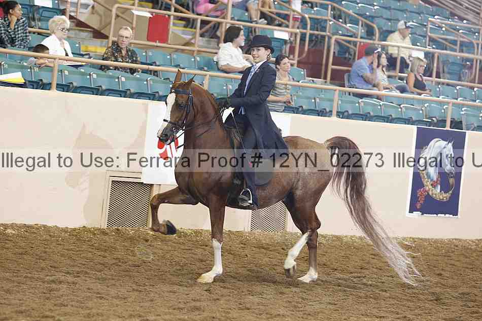 Proof 12yn_02273