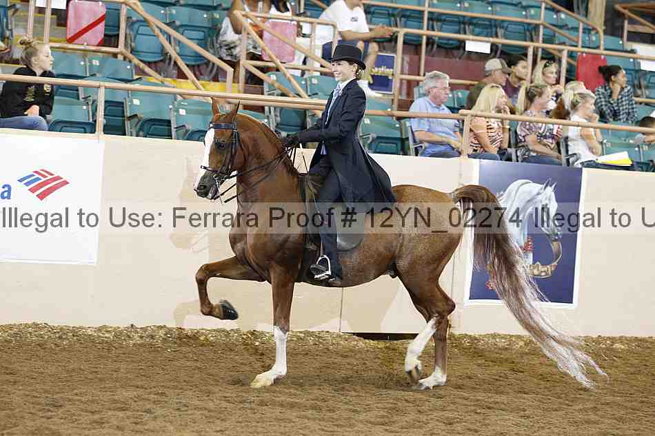 Proof 12yn_02274