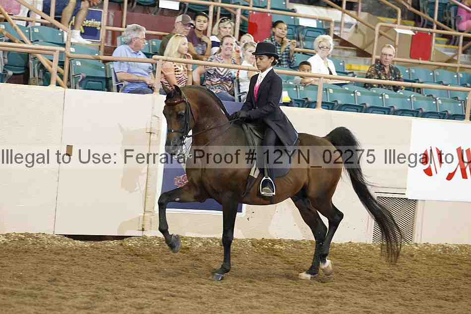 Proof 12yn_02275