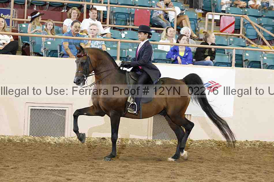 Proof 12yn_02276