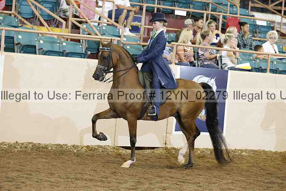 Proof 12yn_02279
