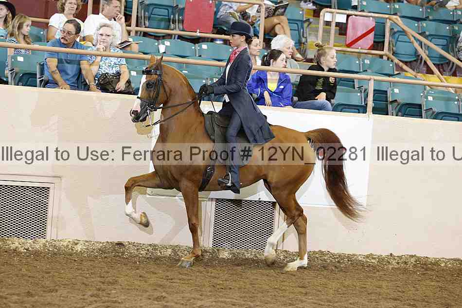 Proof 12yn_02281