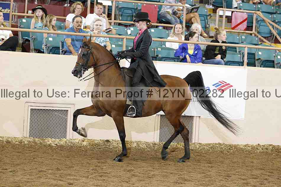 Proof 12yn_02282