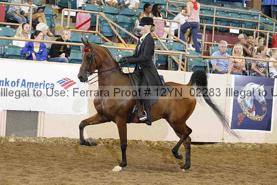 Proof 12yn_02283