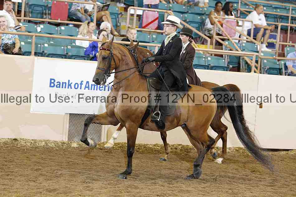 Proof 12yn_02284