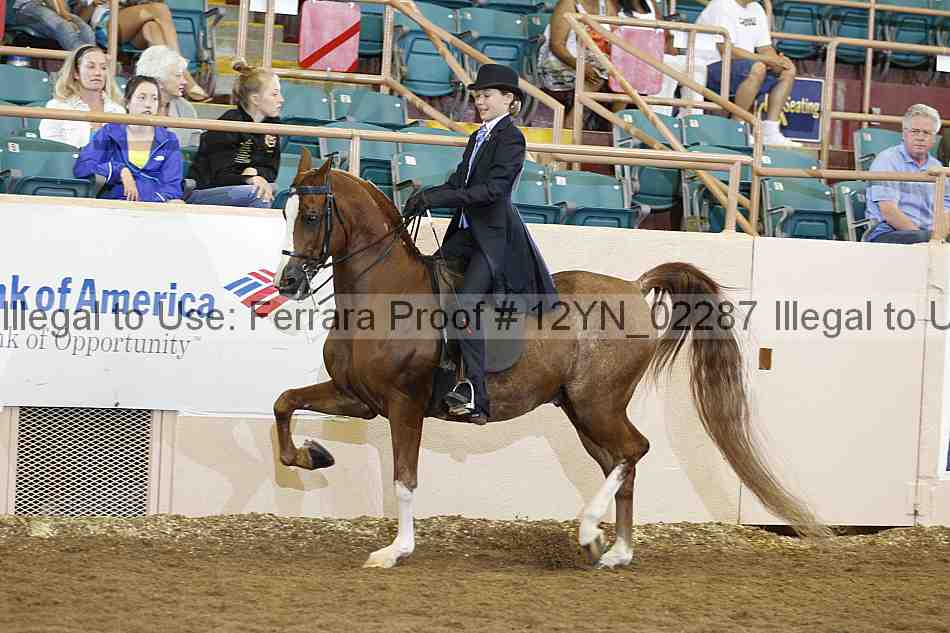 Proof 12yn_02287
