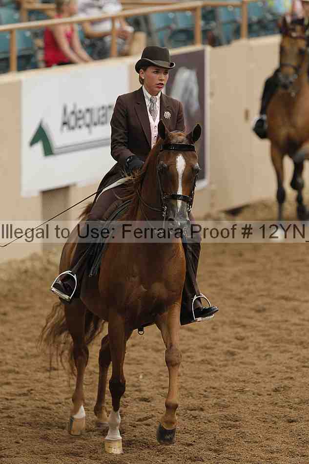 Proof 12yn_02291