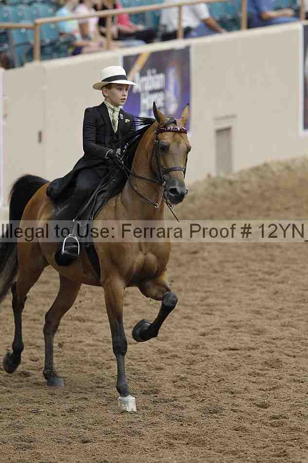 Proof 12yn_02293
