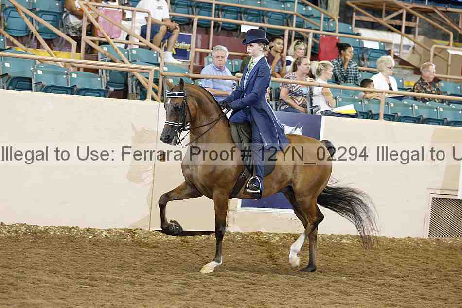 Proof 12yn_02294