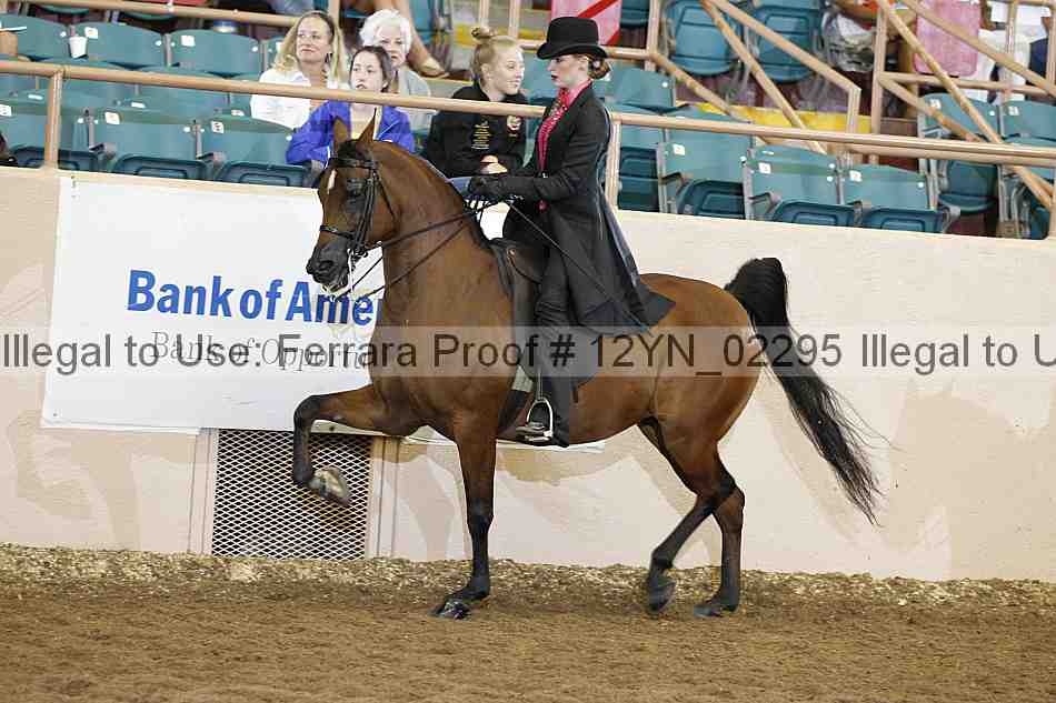 Proof 12yn_02295