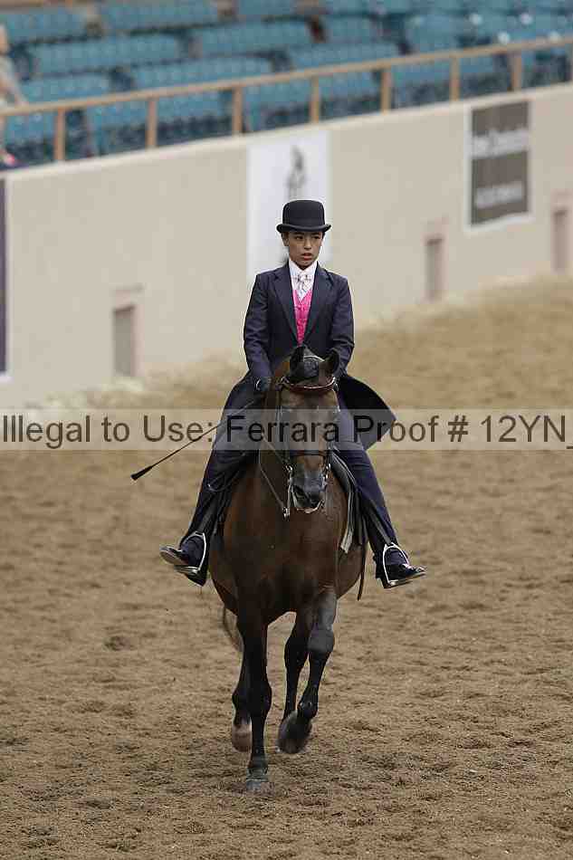 Proof 12yn_02296