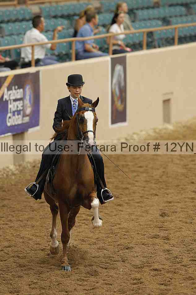 Proof 12yn_02297