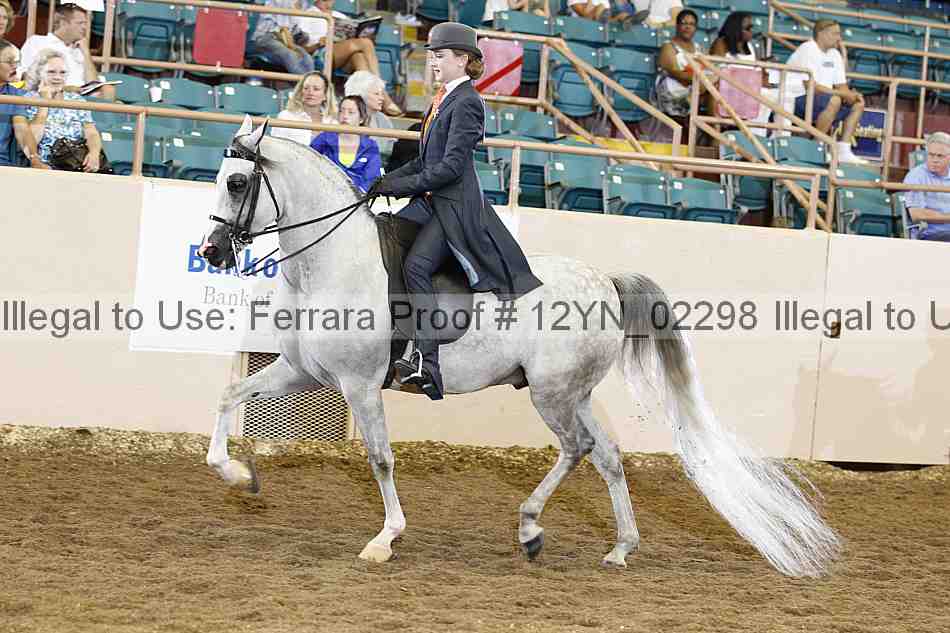 Proof 12yn_02298