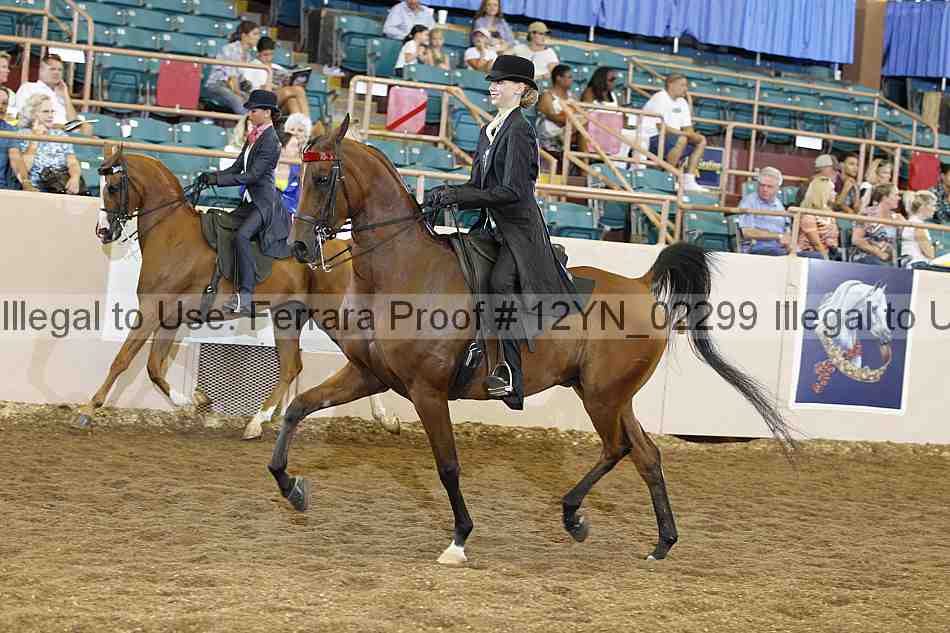 Proof 12yn_02299
